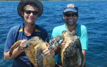 Habitat and Population Assessments of Marine Turtle