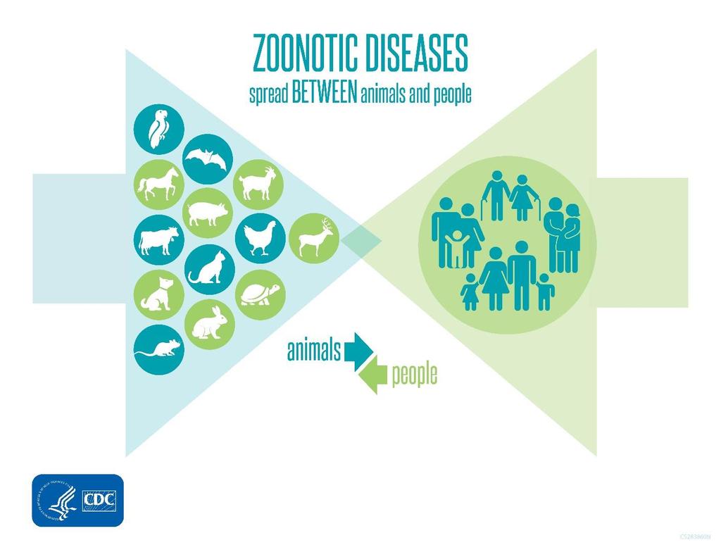 Endemic and Emerging Zoonotic