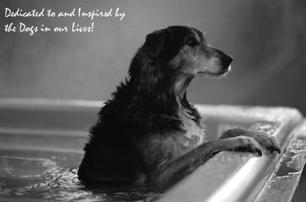 (Continued from page 1) Founder s Message cont. The Association of Canine Water Therapy is a unique opportunity to network with this growing community of like-minded individuals.