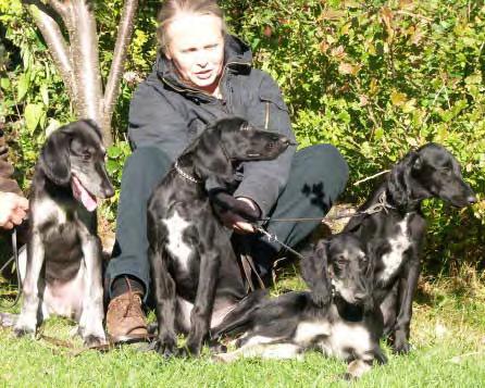 MEET THE BOARD OF DIRECTORS Gerd Andersson, Sweden. Work and puppies take all my time. My devotion for the Saluki breed started 1977 with my first couple of Salukis.