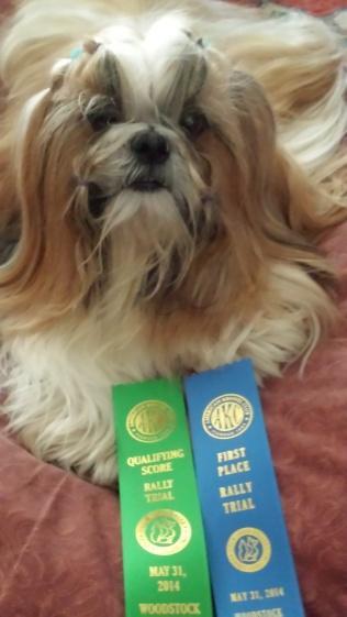 From Gail Kipp: We got 1 st Place and our third leg for our Rally Excellent title on May 31 under Judge Sandra Gould. Thanks everyone for all your help!