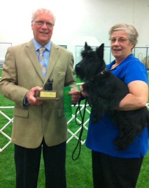 Again our pups made Eleanor and me very proud, earning qualifying scores in Novice B as well as very special High in