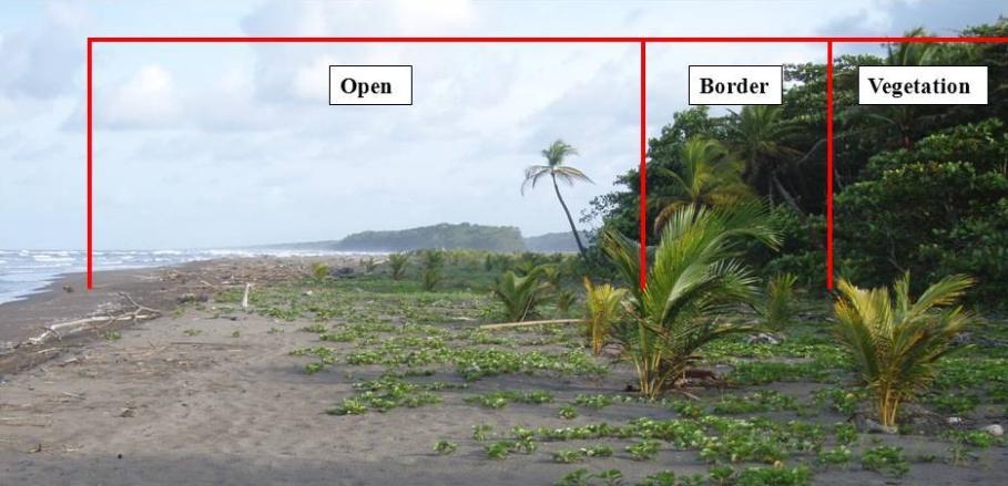 Vertical Beach Zones >50% exposure to direct sun light (Open), < 50% exposure to direct sun light (Border), 0% exposure to direct sun light (Vegetation) 3.