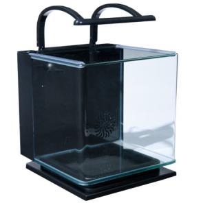 Aquariums are very educational for children Marineland Contour 3 Gal 5 Gal A nice addition to your