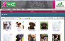 www.mykc.org.uk 0844 463 3991 BRAND NEW online account for dog owners and puppy seekers.