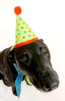PARTY ON, POOCH! If you party with Fido or your feline pal, you re not alone.
