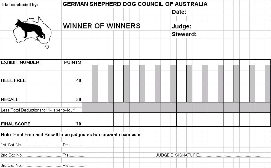 APPENDIX F WINNER OF WINNERS (Judges Score Sheet)