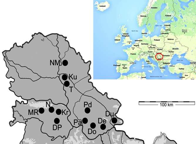 European ground squirrel (Spermophilus citellus) summer months (July-early September) 2007-2013, as a part of continuous population monitoring in Vojvodina (northern part of Serbia).