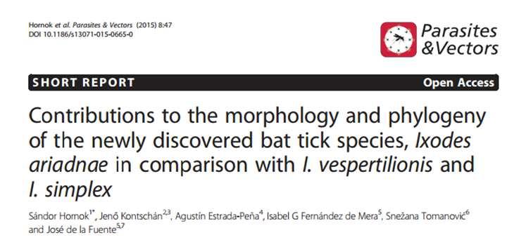 kopsteini on mastiff bats (Tadarida sp.), I. vespertilionis parasitizes different bat species. in Europe I. simplex and I.