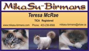 ca Email: birmancats@shaw.ca Website: www.angel-eyes.ca Bojo Birmans Julia Duguid Edmonton, AB, Phone 780-466-6292 Email:juliaduguid@bojobirmans.