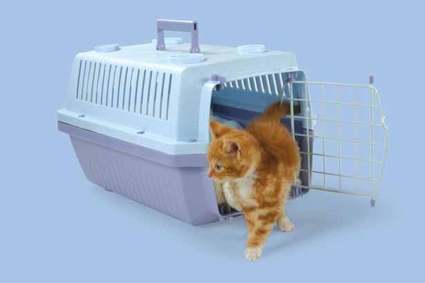 This behavior, called "spraying" is Cat carriers are essential for trips to the cottage, to the vet s or for convenience purposes.