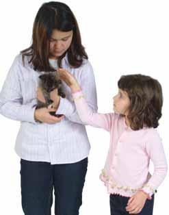 Your initial instincts should be trusted, particularly if young children are involved. If appropriate, designate responsibilities for care of the kitten to older children.
