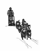 The Iditarod It is winter in Alaska, the temperatures are freezing, the wind is blowing hard, and you never know when the next blizzard will come, but you are warm inside because your 16-dog sled