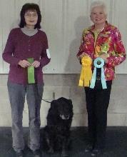 Also Risha Cupit Berzins dog Hubig became an AKC Champion at his latest show. He is now CH Howlin's King Cake OJP CGC.