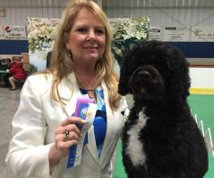 Marisa U-AG1 AKC/UKC CH Lake-Breeze SafeHarbor Marisa, RN, NAP, CGC, TDI Marisa has been very busy in conformation, agility & Rally this year earning her AKC Novice B Rally title and her UKC Agility