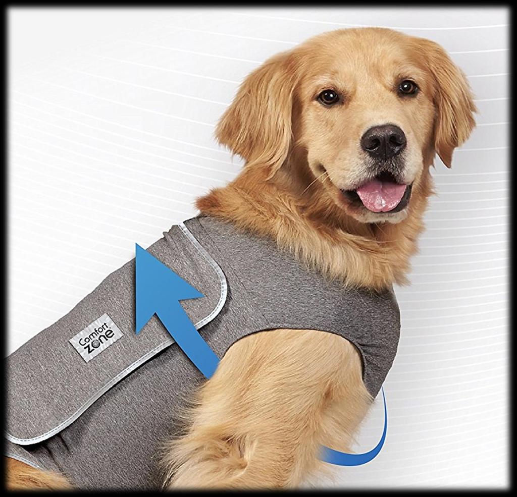 COMFORT ZONE Calming Vest for Dogs With