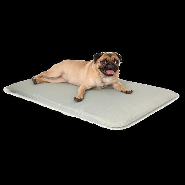 EDIBLES PET BEDS Keep pets cooler than ever! No electricity is required to operate the award-winning Cool Beds.