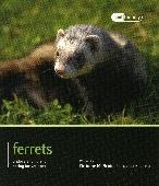 Ferrets - Pet Friendly: Understanding and Caring for Your Pet The more you know about your pet, the better you'll be able to provide the care and attention your pet requires for a  Gerbil -
