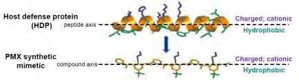 25/04/2015 Brilacidin membrane depolarisation ~ daptomycin cytoplasmic protein misfolding upregulation of chaperones and proteases (genes involved in