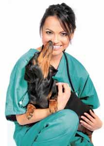 * Veterinarians, veterinary technicians and clinic staff members are encouraged to take advantage of the following CE courses: Parasitology Canine Heartworm Disease Fleas from A to Z Ticks from A to