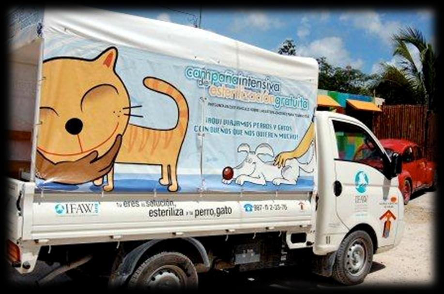 IFAW participation Donation of a truck to