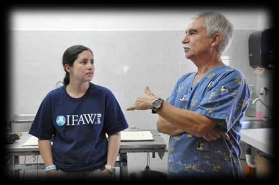 HSC- IFAW partnership In Cozumel, IFAW is re-forming attitudes and improving companion animal