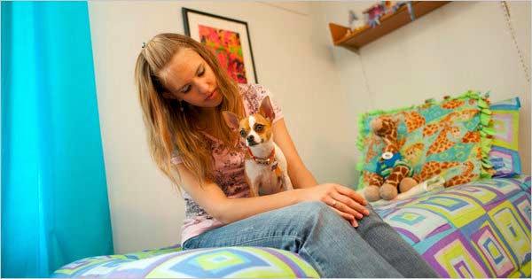 Colleges Extend the Welcome Mat to Students Pets ENHANCING THE EXPERIENCE Elena Christian said that her Chihuahua, Annabelle, had made her social and academic experience at Stephens College better.