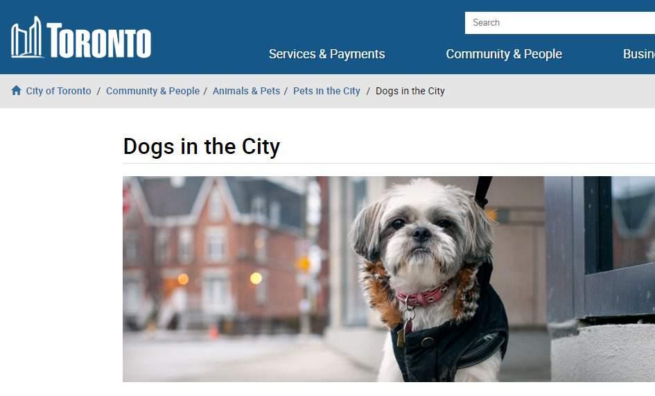 People, Dogs and Parks - Off-Leash Policy The City recognizes the importance of a Dogs Off-Leash Area to the community, and has worked closely with the Toronto and Region Conservation Authority to