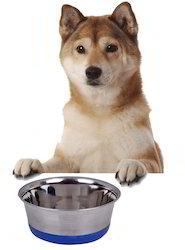 Dog Feeding Bowl