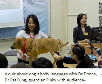 Dr Dog Invited to Join Hong Kong Autism Symposium 2012 On March 24th, 5 of Animals Asia s Dr Dogs were invited as honored guest to attend the Hong Kong Autism Symposium 2012 held at the Hong Kong