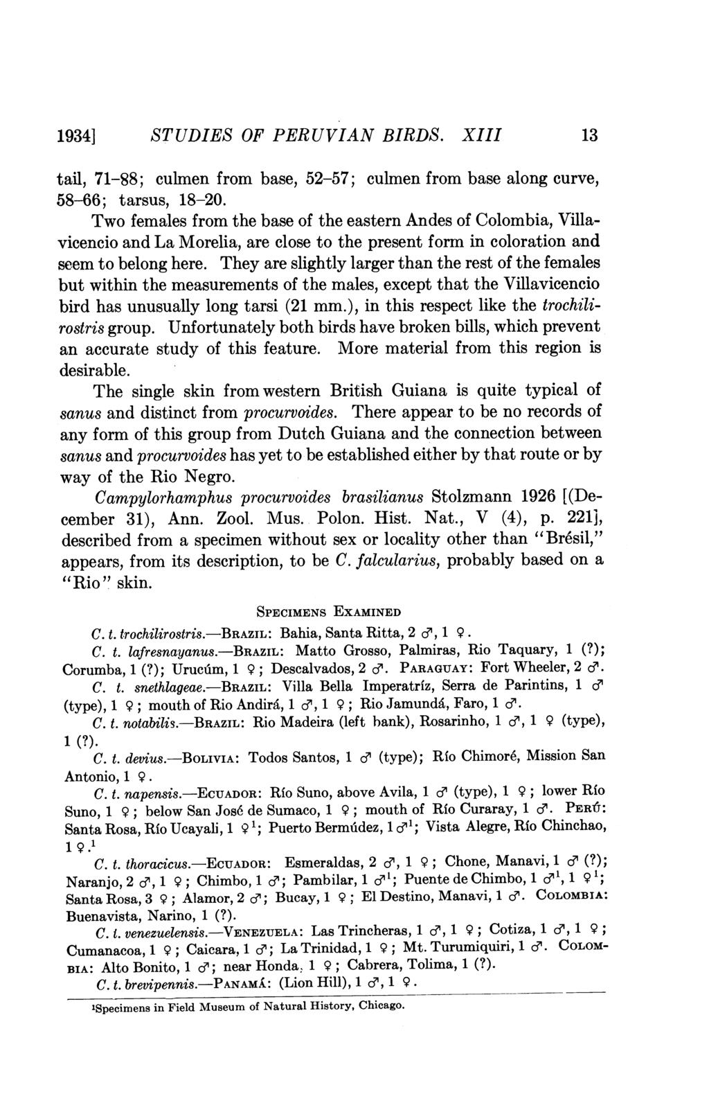 1934] STUDIES OF PERUVIAN BIRDS. XIII 13 tail, 71-88; culmen from base, 52-57; culmen from base along curve, 58-66; tarsus, 18-20.