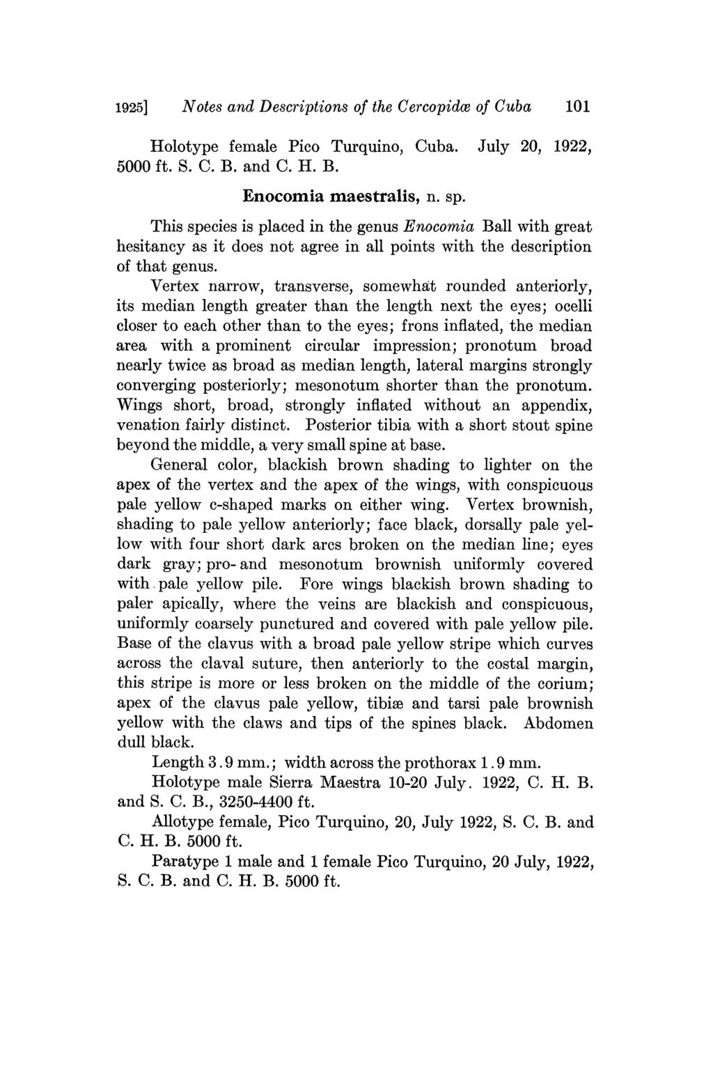 1925] Notes and Descriptions of the Cercopidce of Cuba 101 Holotype female Pico Turquino, Cuba. July 20, 1922, 5000 ft. S. C. B. and C. H. B. Enocomia maestralis, n. sp.