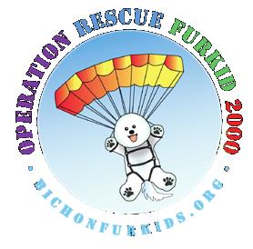 The Fall Bichon Bash is Just Around the Corner! Please join us on Saturday, October 26th, 2013 from 10:00-3:00 at the Hidden Valley Obedience Club in sunny Escondido, California!
