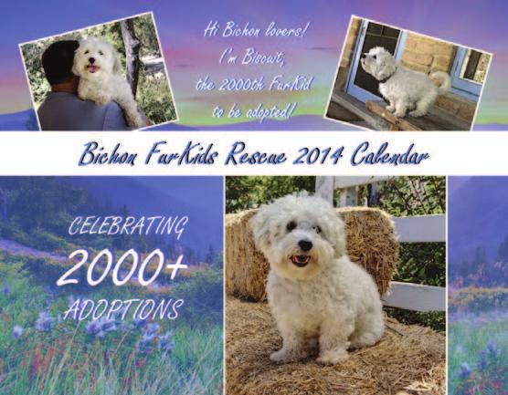 The calendar will also be available for sale at the Fall Bichon Bash on October 26th at the Hidden Valley Obedience Club in Escondido.