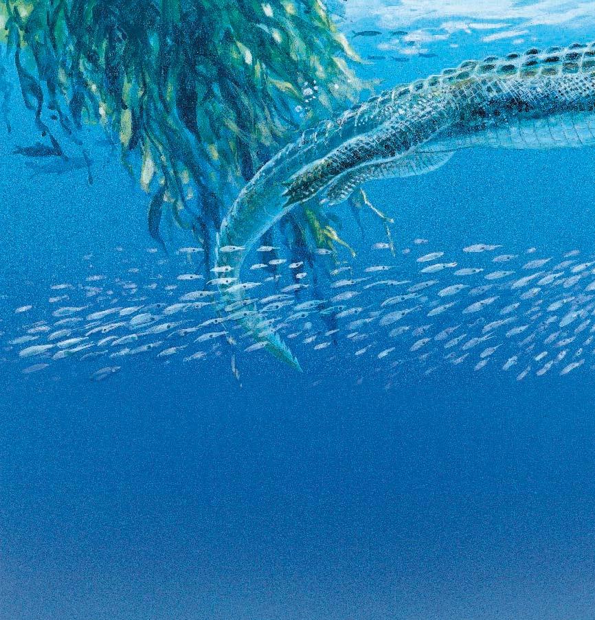 Teleosaurus swishes quickly through the water. Its short legs are tucked up against its body.