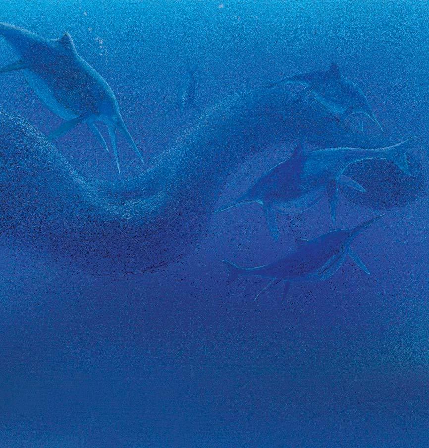 Shonisaurus was one of the biggest of all sea reptiles. Its body stretched longer than half a tennis court!