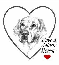 Love a Golden Rescue Golden News Copyright 2009 by Love A Golden Rescue Also available on-line in FULL COLOR at www.loveagolden.com/newsletter.
