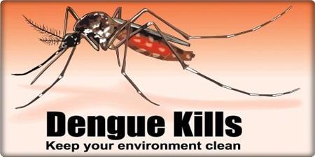 Prevent Aedes from Breeding! Remove ALL sources of stagnant water.