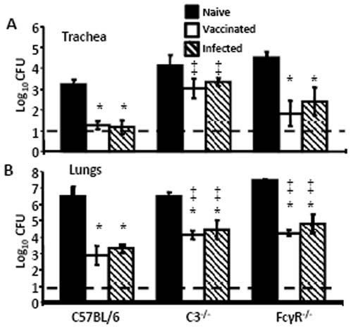 Figure 4. Clearance of B. bronchiseptica from the LRT in B. pertussis-immunized C3 2/2 and FccR 2/2 mice. Naïve (black bars), B. pertussis-vaccinated (white bars), or B.