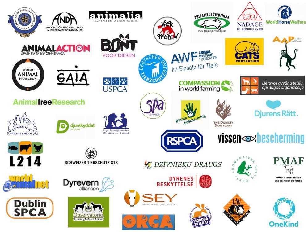EU-level animal welfare advocacy organisation 45 member