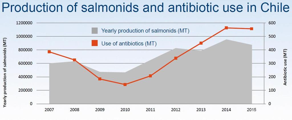 Use of antibiotics in salmon