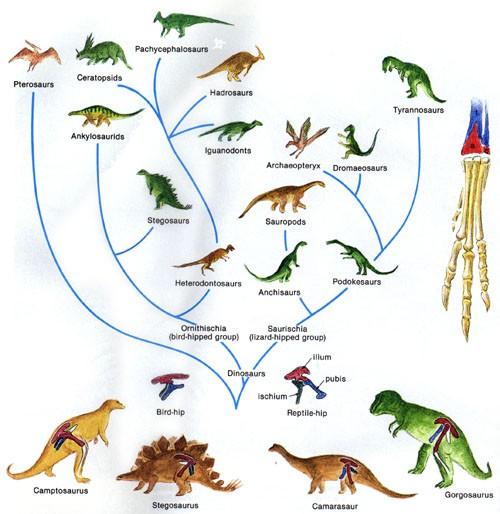 All the reptiles from this time were not dinosaurs, Pterosaurs, aquatic reptiles,