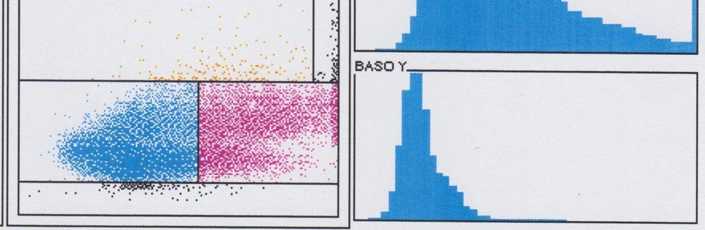 Baso count. Figure 7. Advia Perox and Baso scattergrams and x/y-histograms.