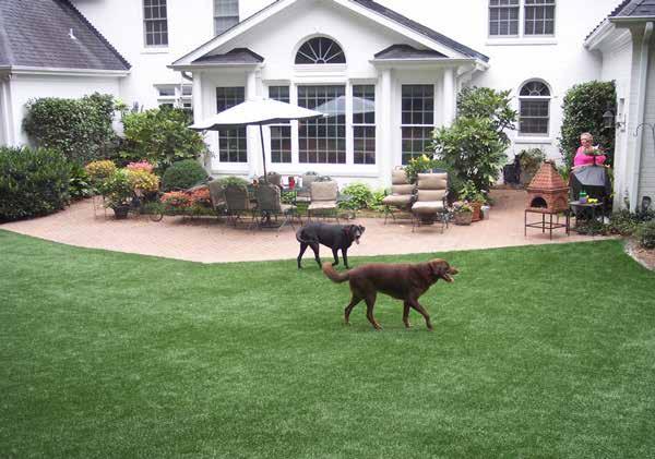 I would pay for artificial turf even if I didn t have a pet sitting business. The cost is well worth the savings in time and happiness from the dogs perspectives.