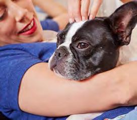 All kinds of things can create stress for your puppy or dog, including fireworks and other loud noises, new people, car rides to the veterinarian, and even being left alone in their crate.