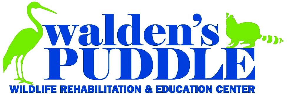 Dear Friend: Thank you for your interest in volunteering at Walden's Puddle.