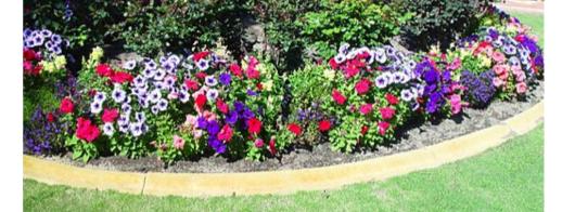 There are many possible colors of Petunias. We call these differences variations.