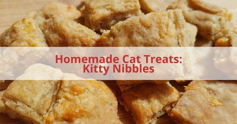 Homemade Tuna Cat Treats: Kitty Nibbles Tuna is always popular with my cat, in fact he loves any type of fish - especially tinned fish.