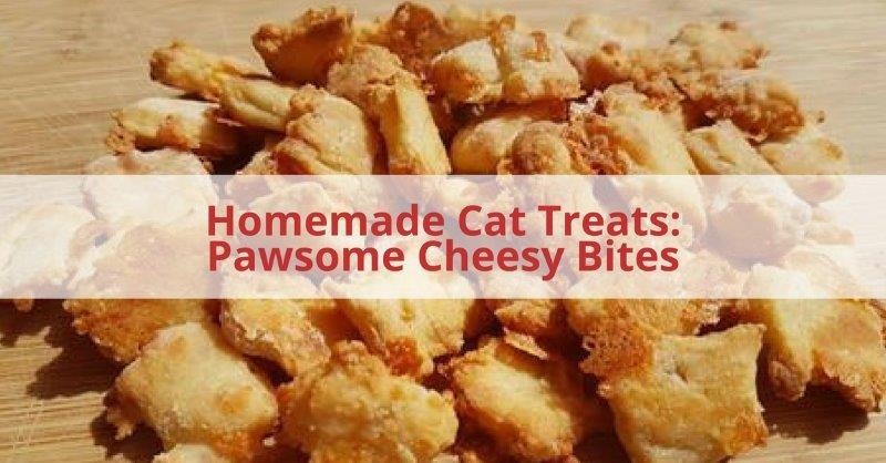 Homemade Cat Treats: Pawsome Cheesy Bites When you think of baking for your pets you probably automatically think of baking dog treats.