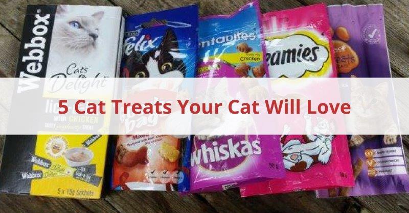 5 Cat Treats Your Cat Will Love If you are busy and don't have time to bake for your cat, or you find they aren't keen on homemade cat treats,